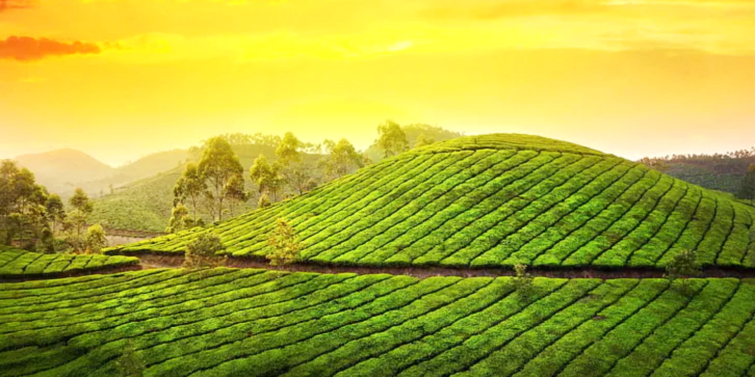 God’s Own Country – Complete Kerala Experience